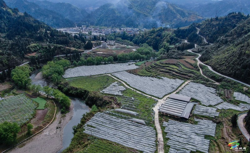 【奮進(jìn)的春天】沙壩河鄉(xiāng)：40余噸果酒即將上市