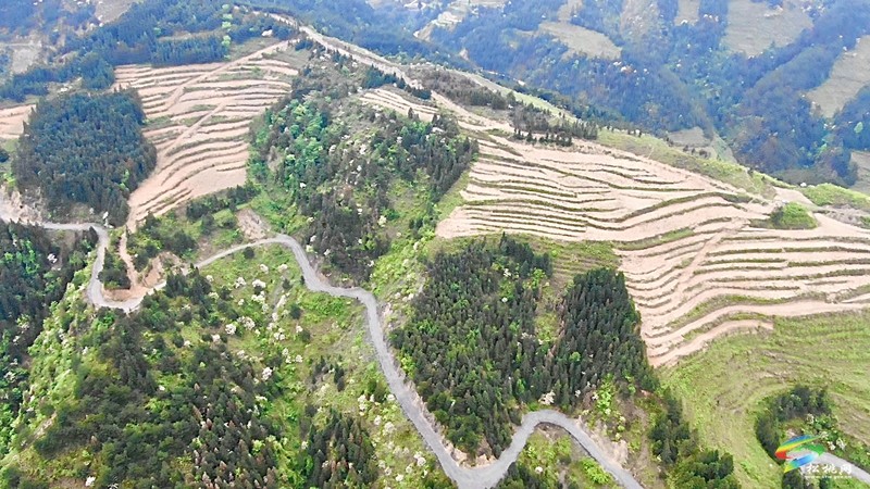 【奮進的春天】平頭鎮(zhèn)：向土地要財富 讓荒山變金山