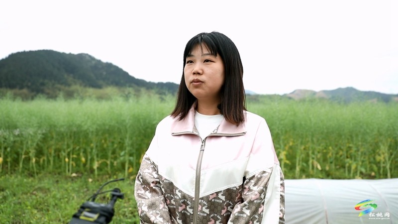 【奮進的春天】平頭鎮(zhèn)：向土地要財富 讓荒山變金山