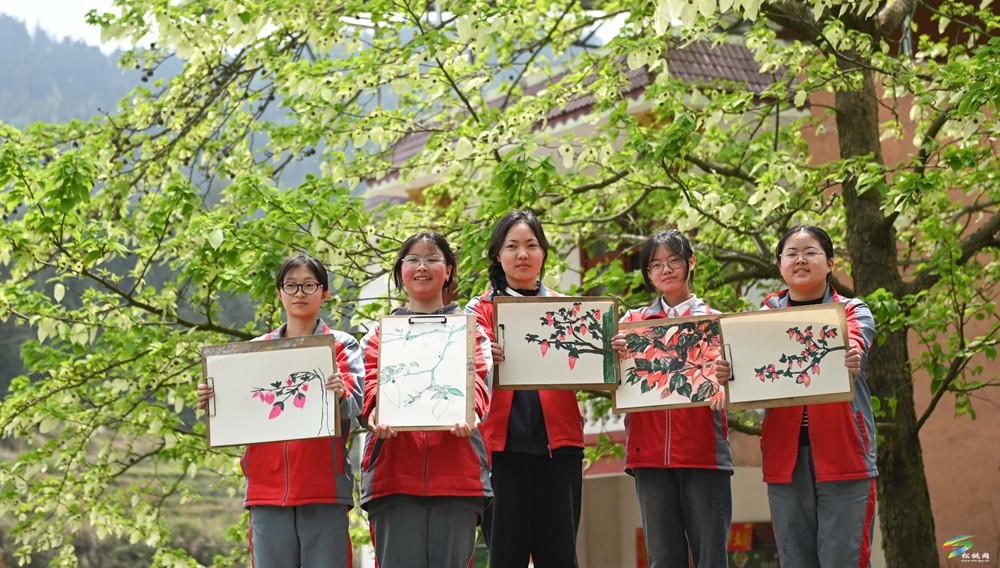 【多彩貴州·花漾中國(guó)】松桃：梵凈山下 鴿子花開(kāi)