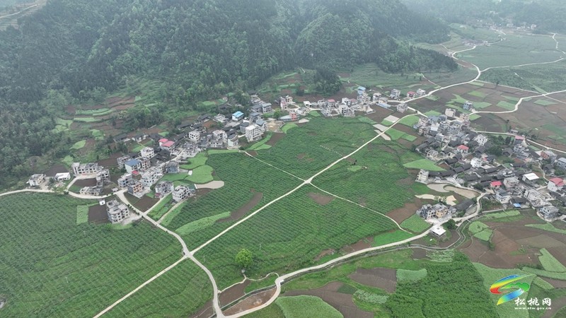 孟溪鎮(zhèn)：推進鄉(xiāng)村治理  繪就美麗畫卷