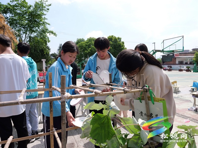 大坪場鎮(zhèn)中學(xué)開展美育浸潤教學(xué)活動