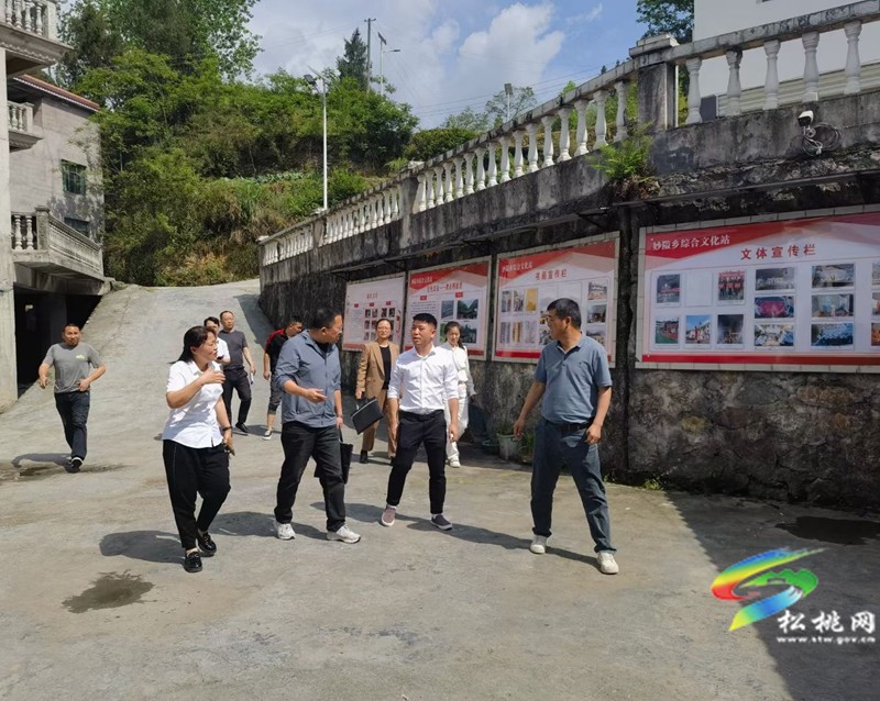 省文化和旅游廳專家組到妙隘鄉(xiāng)開展綜合文化站評估定級工作