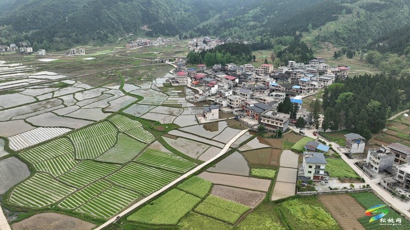 【奮進的春天】普覺鎮(zhèn):自動化育秧 讓春耕生產(chǎn)跑出“加速度”