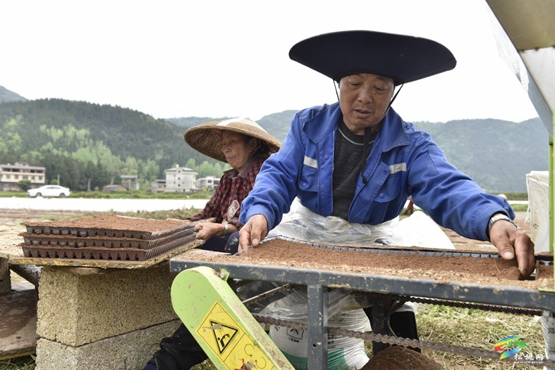 【奮進的春天】普覺鎮(zhèn):自動化育秧 讓春耕生產(chǎn)跑出“加速度”