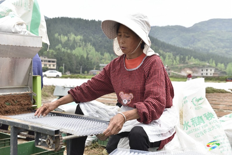 【奮進的春天】普覺鎮(zhèn):自動化育秧 讓春耕生產(chǎn)跑出“加速度”