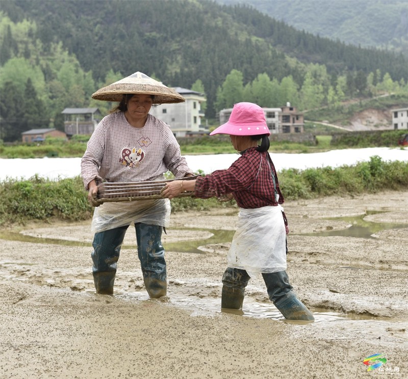 【奮進的春天】普覺鎮(zhèn):自動化育秧 讓春耕生產(chǎn)跑出“加速度”