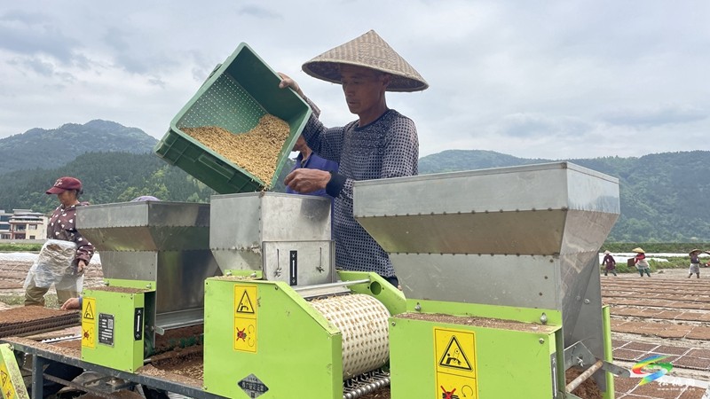 【奮進的春天】普覺鎮(zhèn):自動化育秧 讓春耕生產(chǎn)跑出“加速度”