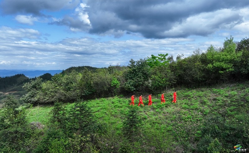 松桃陽雀林場：守護(hù)萬畝青山  構(gòu)筑綠色屏障