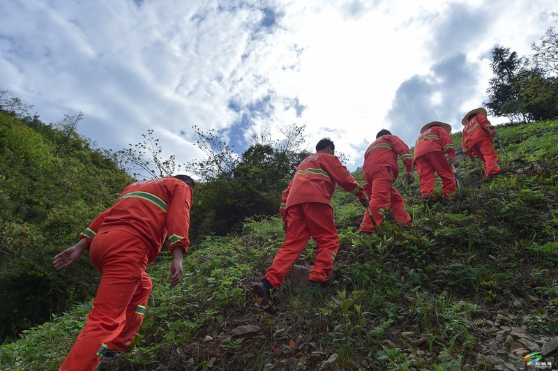 松桃陽雀林場：守護(hù)萬畝青山  構(gòu)筑綠色屏障