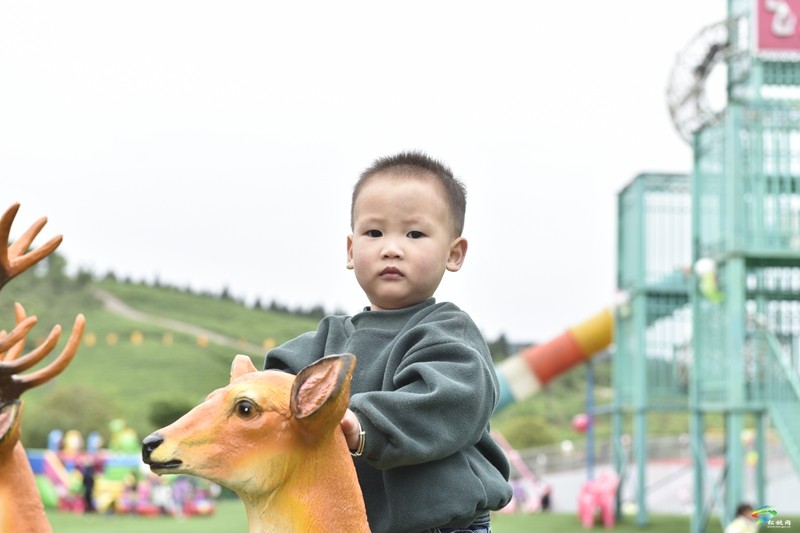 大坪場(chǎng)鎮(zhèn)七彩樂(lè)園開門迎客