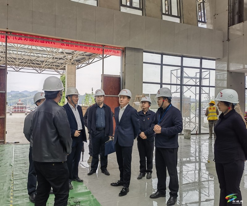 陳琪調(diào)研督導(dǎo)縣醫(yī)院新院建設(shè)和文明城市創(chuàng)建工作