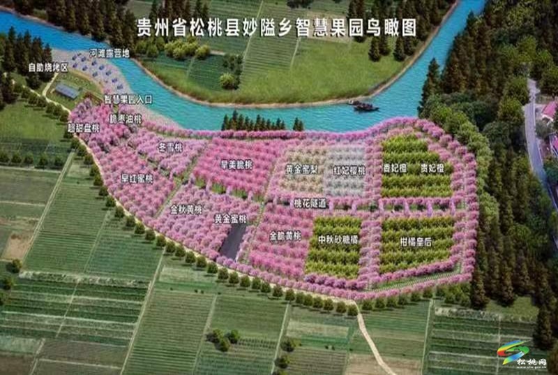 妙隘鄉(xiāng)智慧果園：科技賦能 產(chǎn)業(yè)煥新