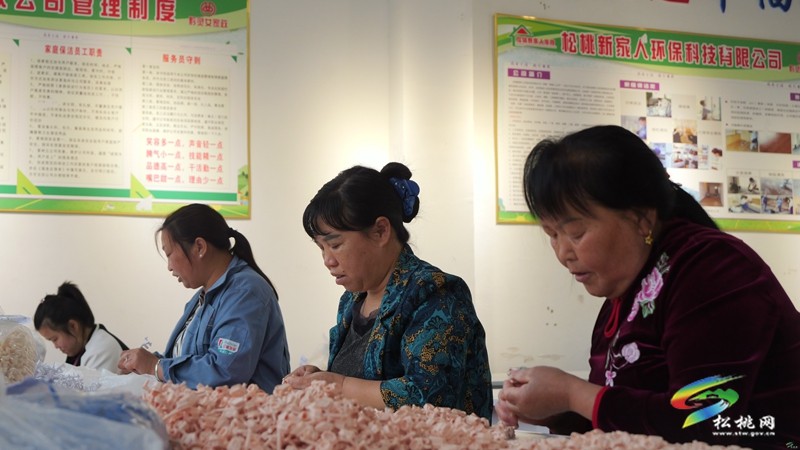 【奮進(jìn)的春天】松桃:社區(qū)微工廠 靈活促就業(yè)
