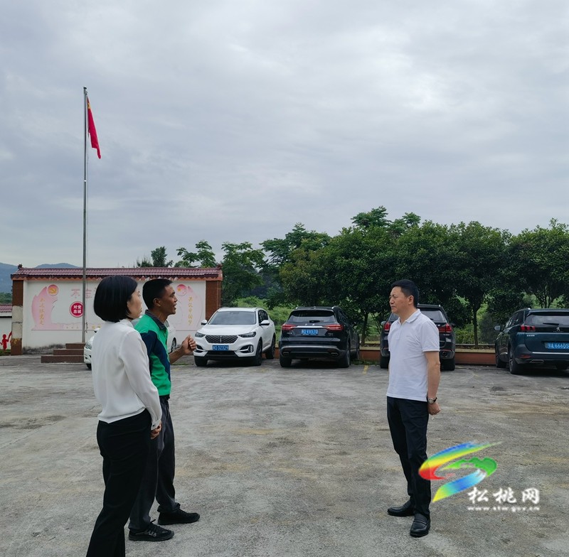 陳琪到迓駕長(zhǎng)興大路孟溪調(diào)研