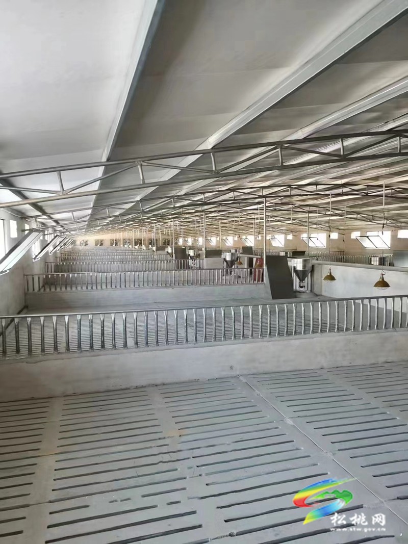 盤石鎮(zhèn):建立“十查十到位” 工作機制,扎牢畜禽養(yǎng)殖污染“防治網”