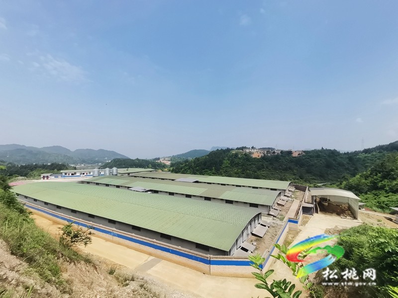 盤石鎮(zhèn):建立“十查十到位” 工作機制,扎牢畜禽養(yǎng)殖污染“防治網”