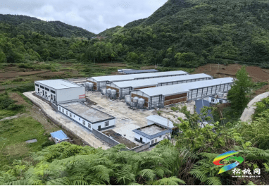 石梁鄉(xiāng)30萬羽蛋雞養(yǎng)殖基地招租公告