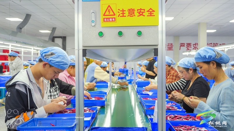 松桃：聚焦“強村富民” 推動鄉(xiāng)村振興
