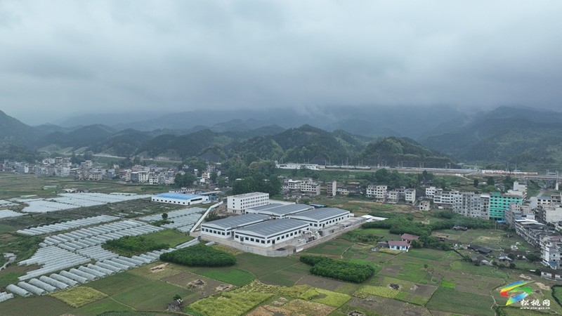 松桃：創(chuàng)辦強(qiáng)村富民工坊  拓展群眾增收路