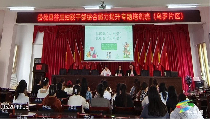 松桃婦聯(lián)組織開展全縣基層?jì)D聯(lián)主席能力提升培訓(xùn)暨家庭教育指導(dǎo)宣講活動