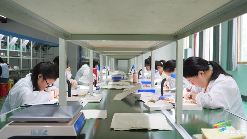 松桃：讓群眾在家門口端起增收“新飯碗”