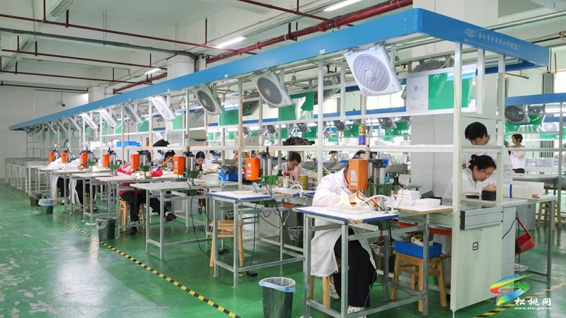 松桃：讓群眾在家門口端起增收“新飯碗”