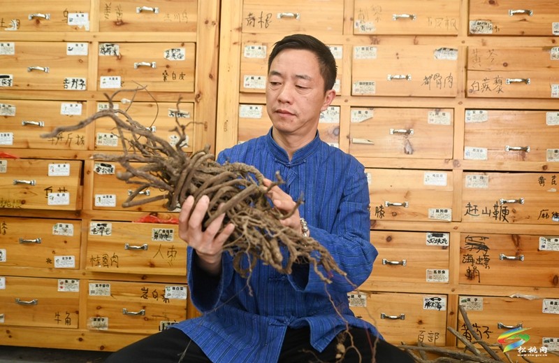 ?松桃苗醫(yī)龍曉金：治病救人?發(fā)揚(yáng)苗醫(yī)苗藥