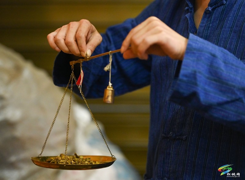 ?松桃苗醫(yī)龍曉金：治病救人?發(fā)揚(yáng)苗醫(yī)苗藥