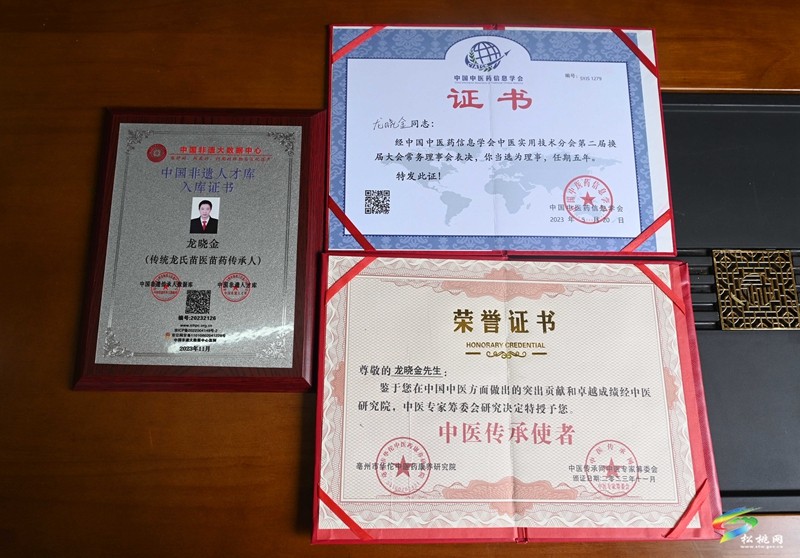 ?松桃苗醫(yī)龍曉金：治病救人?發(fā)揚(yáng)苗醫(yī)苗藥