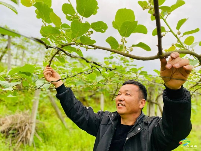 技術(shù)服務(wù) 資金籌措 產(chǎn)銷對(duì)接 產(chǎn)業(yè)黨支部推動(dòng)土特產(chǎn)成產(chǎn)業(yè)