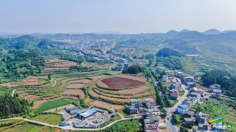 長(zhǎng)興堡鎮(zhèn)：紅薯栽種忙?育出新“薯”光