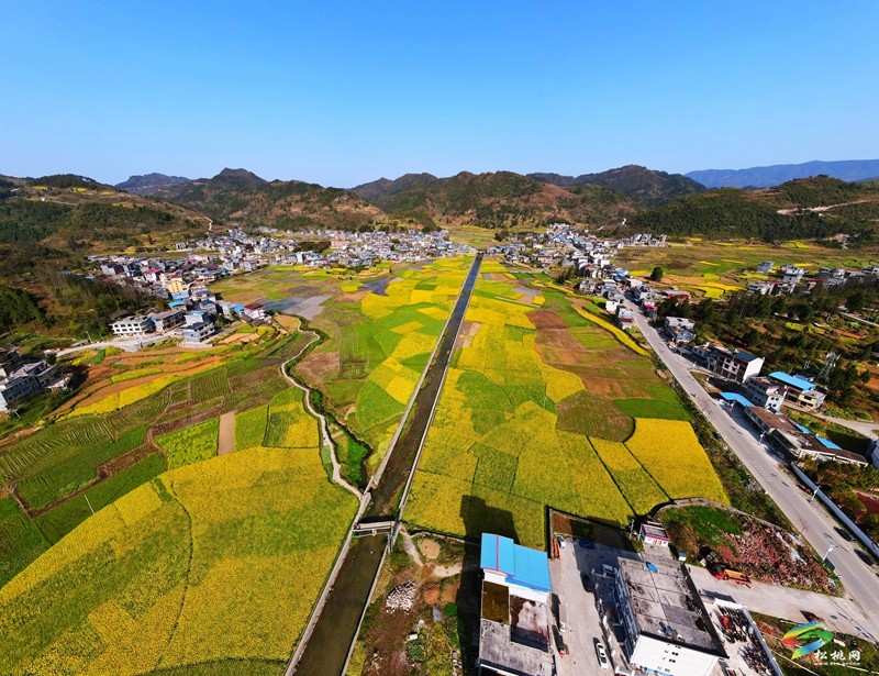 甘龍鎮(zhèn)：“項目+產業(yè)”強村富民有實招