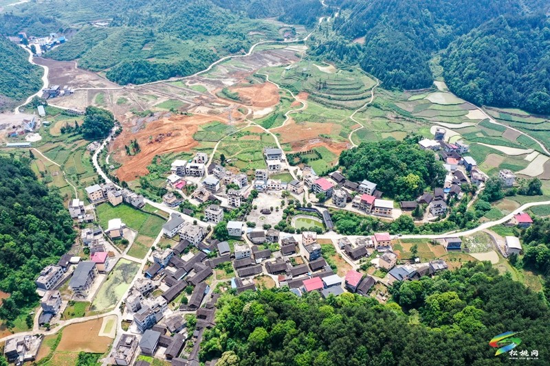 松桃坪干社區(qū)：高標(biāo)準(zhǔn)農(nóng)田促農(nóng)增收致富