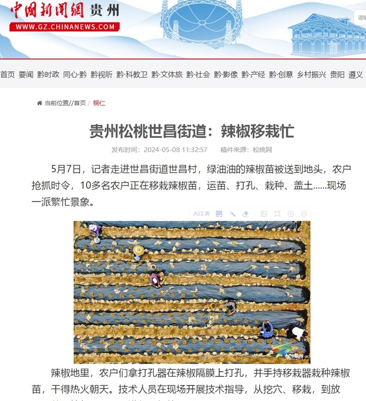 ?【成績(jī)單來了！】松桃2024年5月份對(duì)外宣傳成績(jī)單
