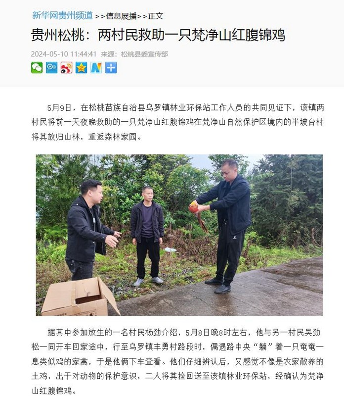 ?【成績(jī)單來了！】松桃2024年5月份對(duì)外宣傳成績(jī)單