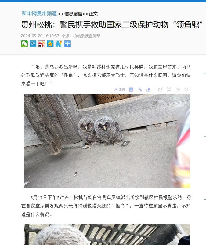 ?【成績(jī)單來了！】松桃2024年5月份對(duì)外宣傳成績(jī)單