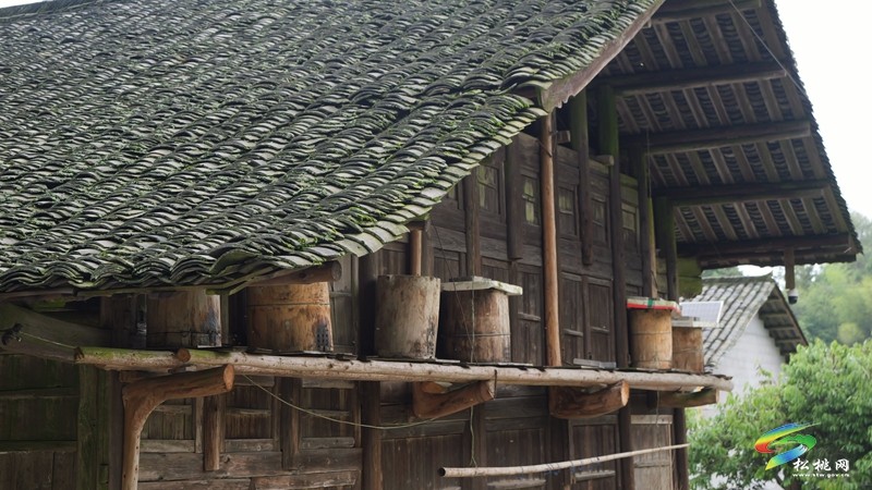 瓦溪鄉(xiāng)：乘“蜂”而起  釀就群眾增收“甜蜜”路