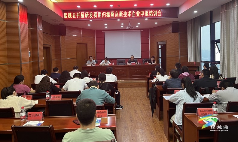 松桃開展研發(fā)費用歸集暨高新技術企業(yè)申報培訓會