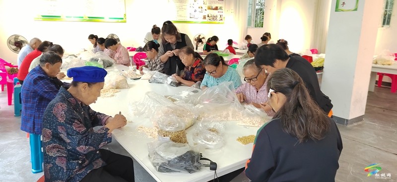 團(tuán)山社區(qū):打造宜居宜業(yè)幸福家園