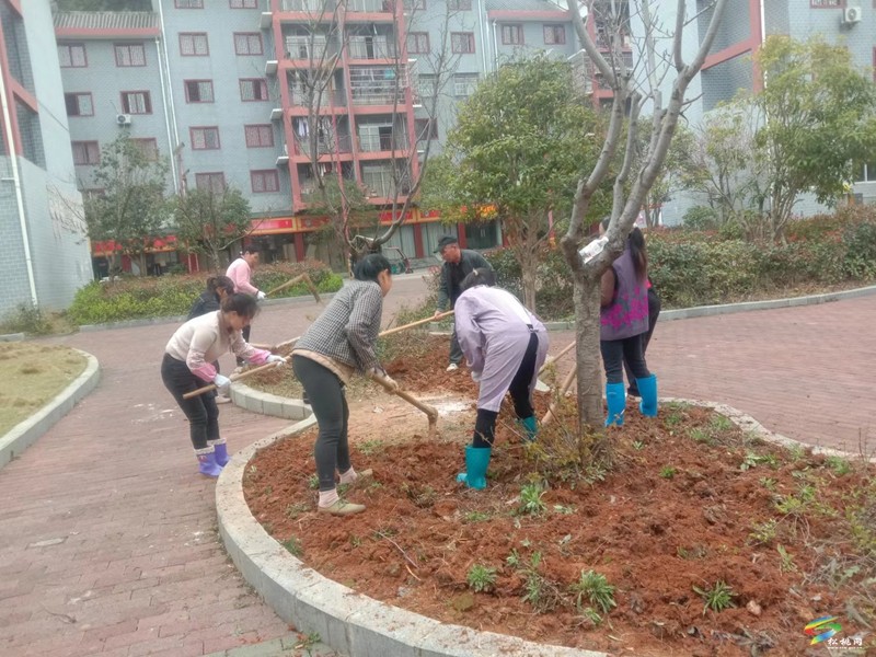 團(tuán)山社區(qū):打造宜居宜業(yè)幸福家園