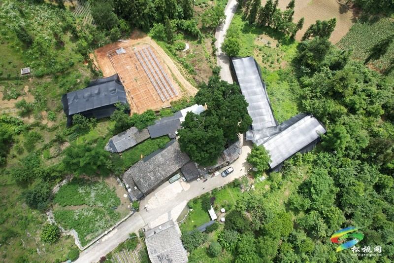瓦溪鄉(xiāng)：小菌棒釋放大“蘑”力