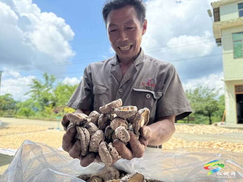 瓦溪鄉(xiāng)：小菌棒釋放大“蘑”力
