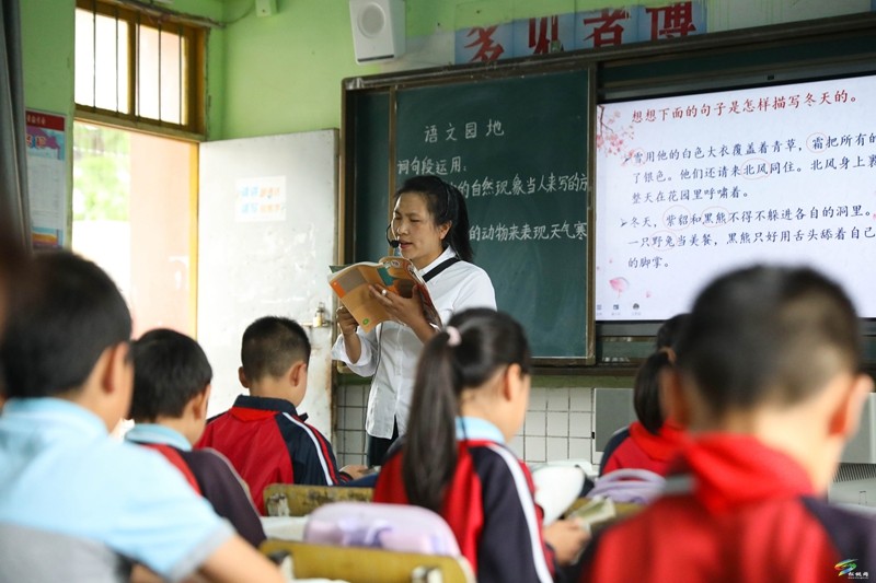沈素麗：因?yàn)闊釔?ài)  所以選擇