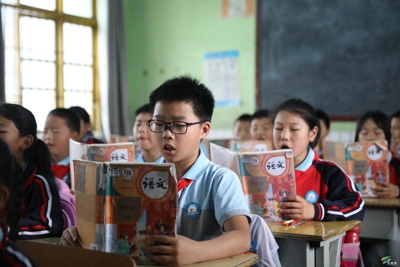 沈素麗：因?yàn)闊釔?ài)  所以選擇