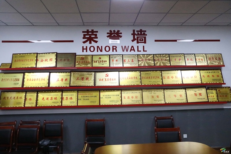沈素麗：因?yàn)闊釔?ài)  所以選擇