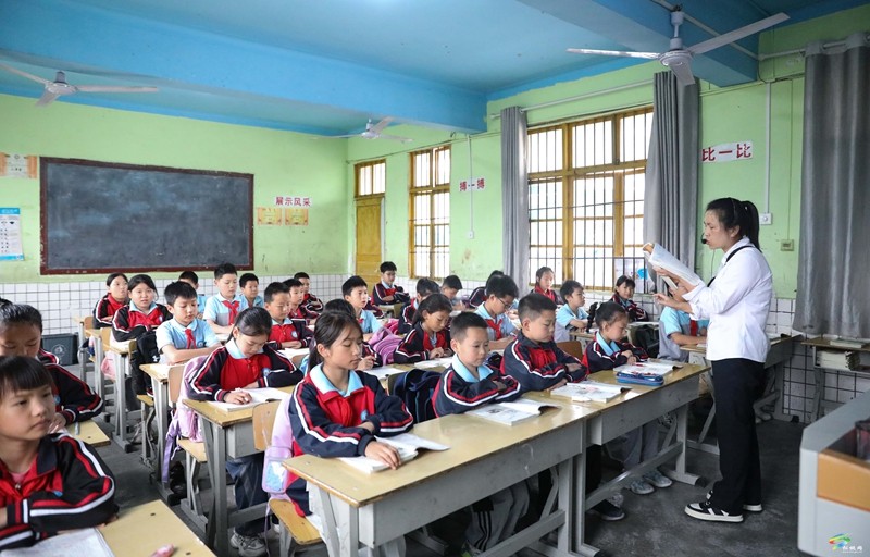沈素麗：因?yàn)闊釔?ài)  所以選擇