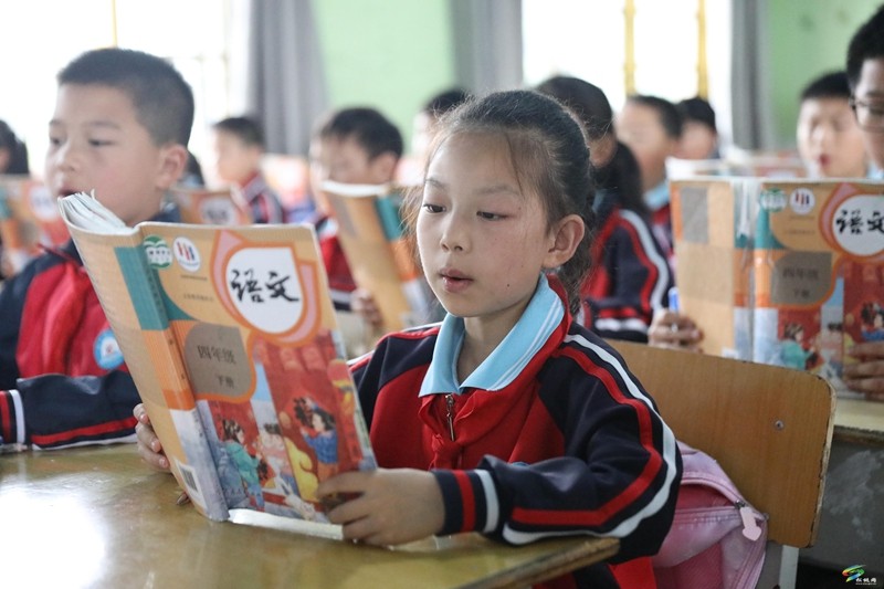 沈素麗：因?yàn)闊釔?ài)  所以選擇