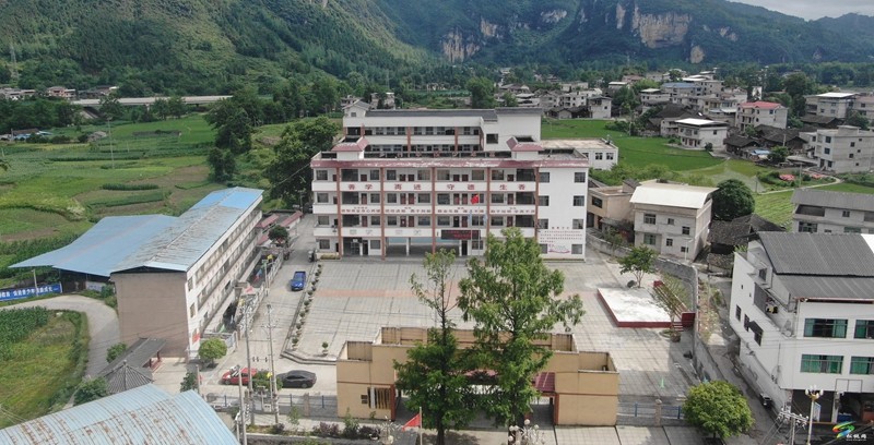 沈素麗：因?yàn)闊釔?ài)  所以選擇