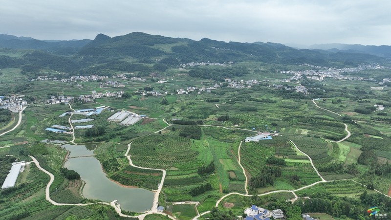 迓駕鎮(zhèn)青山村：借鑒“千萬(wàn)工程”經(jīng)驗(yàn)  解鎖鄉(xiāng)村振興“密碼”